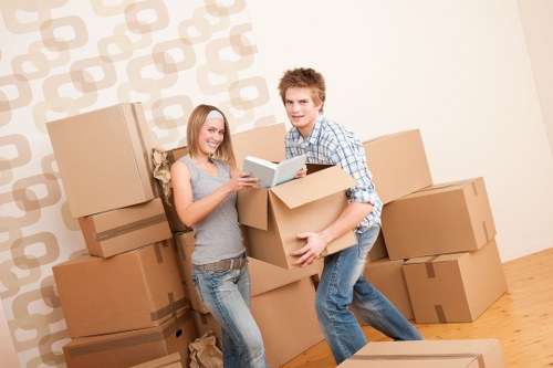 Professional moving service handling furniture in Blackheath