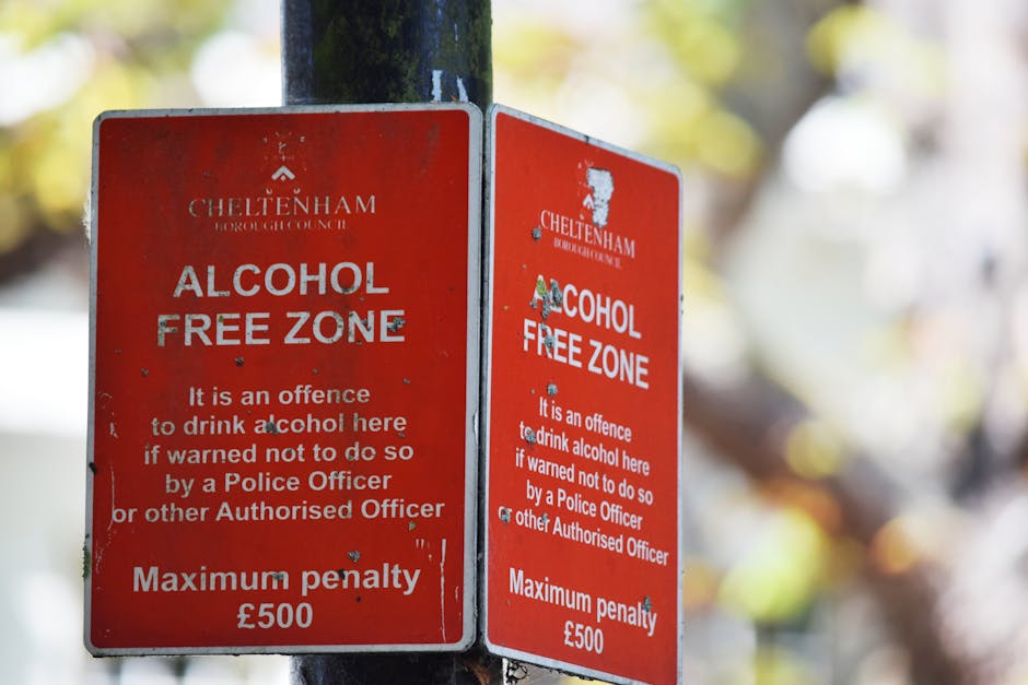 Two red Cheltenham Borough Council alcohol-free zone signs attached to a black metal pole outdoors. The signs display white text indicating that drinking alcohol within the zone is prohibited and that