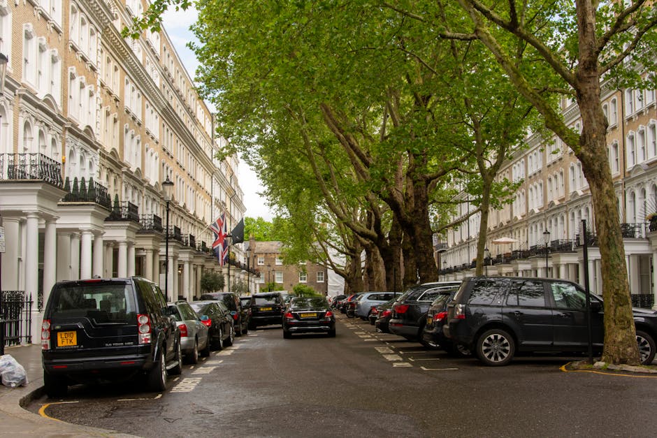 A residential street in Blackheath with tall white terraced houses featuring black wrought iron balconies and flags mounted on their facades. The street is lined with large, leafy green trees whose branches extend overhead, creating a canopy. Parked cars of various models, including black, silver, and grey vehicles, are parked along both sides of the narrow street. Some cars are positioned close to the pavement, while others are parked further back, with markings for parking bays visible on the road. The surface appears slightly wet, suggesting recent rain, and the overall scene is illuminated by natural daylight. This setting is associated with home relocation and furniture transport processes, as part of the logistics involved in house removals, with the street providing ample space for loading and unloading of moving trucks or vans, such as those used by Man and Van Blackheath.